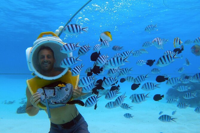 Private Tour: Aqua Safari Scuba Diving - Why the private format matters