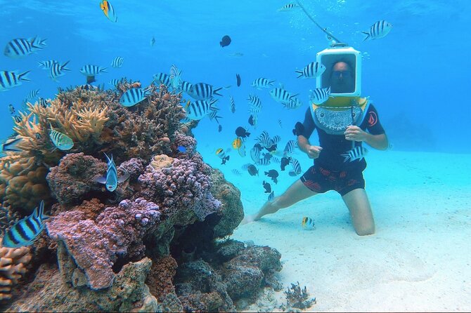 Private Tour: Aqua Safari Scuba Diving - Is it really suitable for non-swimmers?