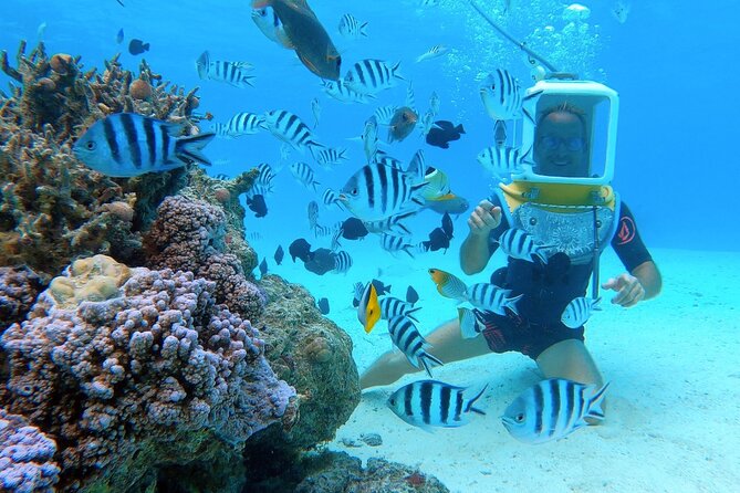 Private Tour: Aqua Safari Scuba Diving - Safety, guidance, and the pace underwater