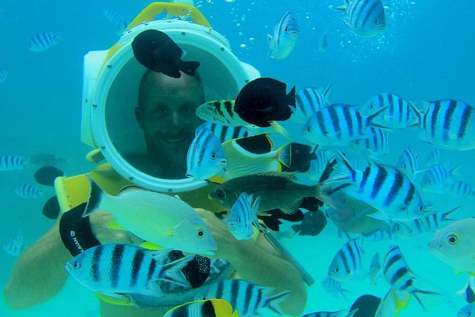 Private Tour: Aqua Safari Scuba Diving - Timing, weather, and cancellation rules