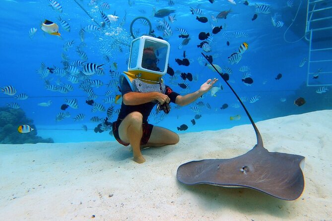 Private Tour: Aqua Safari Scuba Diving - The two-hour outing, step by step