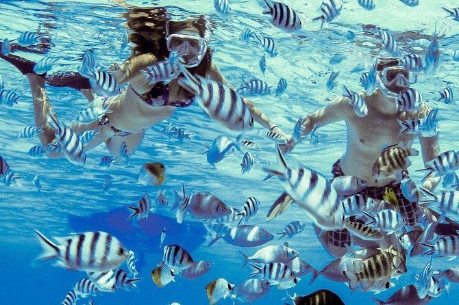 Private Tour: Bora Bora Lagoon Eco Snorkel Cruise - 3hrs or 6hrs - Three snorkeling stops shaped by weather and season