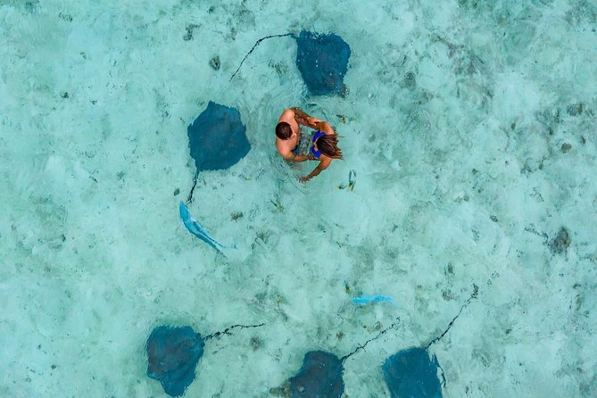 Private Tour: Bora Bora Lagoon Eco Snorkel Cruise - 3hrs or 6hrs - Guides who shape the day