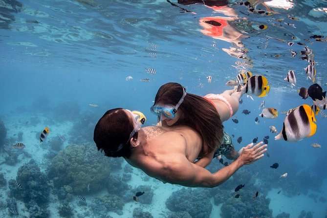 Private Tour: Bora Bora Lagoon Eco Snorkel Cruise - 3hrs or 6hrs - What the eco promise means in practice