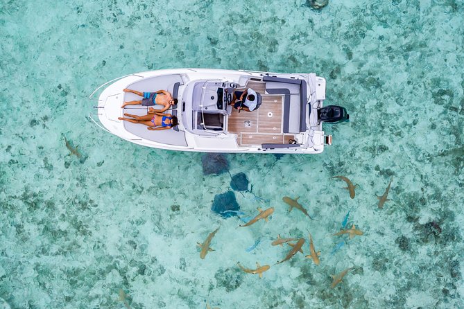 Private Tour: Bora Bora Lagoon Eco Snorkel Cruise - 3hrs or 6hrs - Coral gardens, rays, sharks, and the luck factor