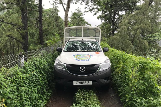 Private Tour Moorea 4WD - Belvedere Pineapple Farm, Magic Mount. - Pineapple fields show Moorea beyond the postcard