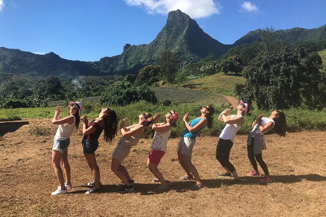Private Tour Moorea 4WD - Belvedere Pineapple Farm, Magic Mount. - Guides Ron, Viv, and Mario shape the experience