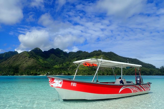 Private tour observing and swimming with humpback whales in Moorea - Swimming with rays, sharks, and turtles