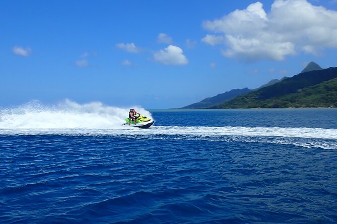 Private tour observing and swimming with humpback whales in Moorea - The guides make or break a wildlife outing