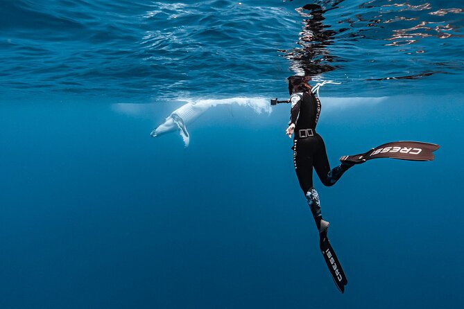 Private tour whale watching and snorkeling in Moorea - Key Points Before You Book