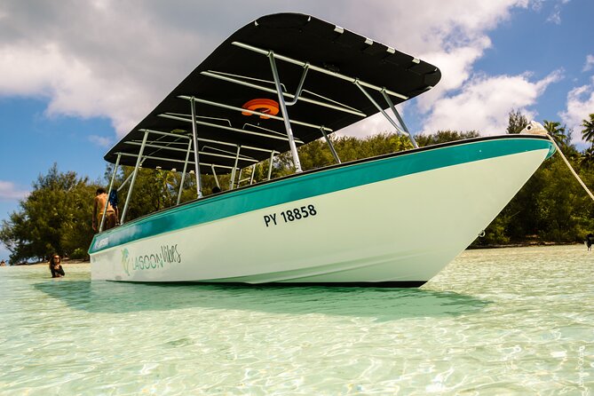 Private tour whale watching and snorkeling in Moorea - Why the Private Format Changes the Experience