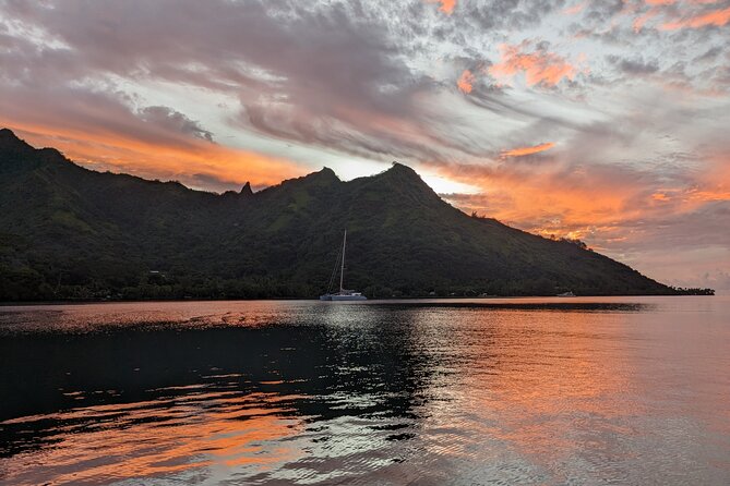 Private Tour Whale Watching Half Day Tour - Swimming with wildlife and staying aboard