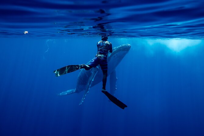 Private Whale Watching Adventure in Mo'orea - Starting at Plage de Tiahura at 8 a.m.
