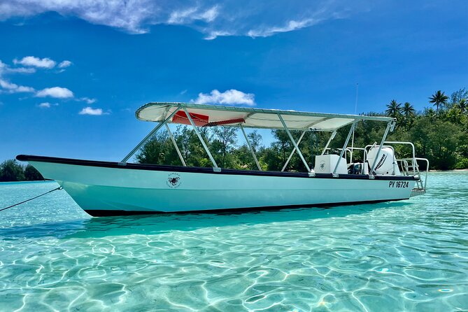 Private Whale Watching Adventure in Mo'orea - A guide who shapes the day