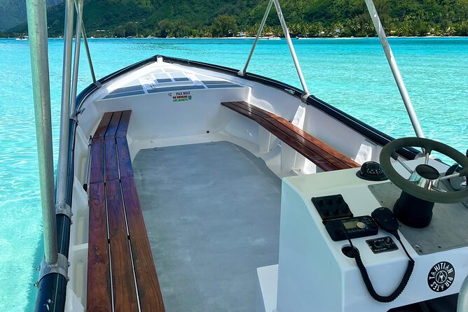 Private Whale Watching Adventure in Mo'orea - Equipment, supplies, and what you need to bring