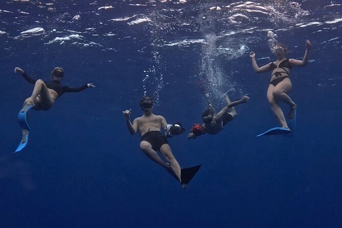 Private Whale Watching Adventure in Mo'orea - Searching for humpback whales in their breeding grounds