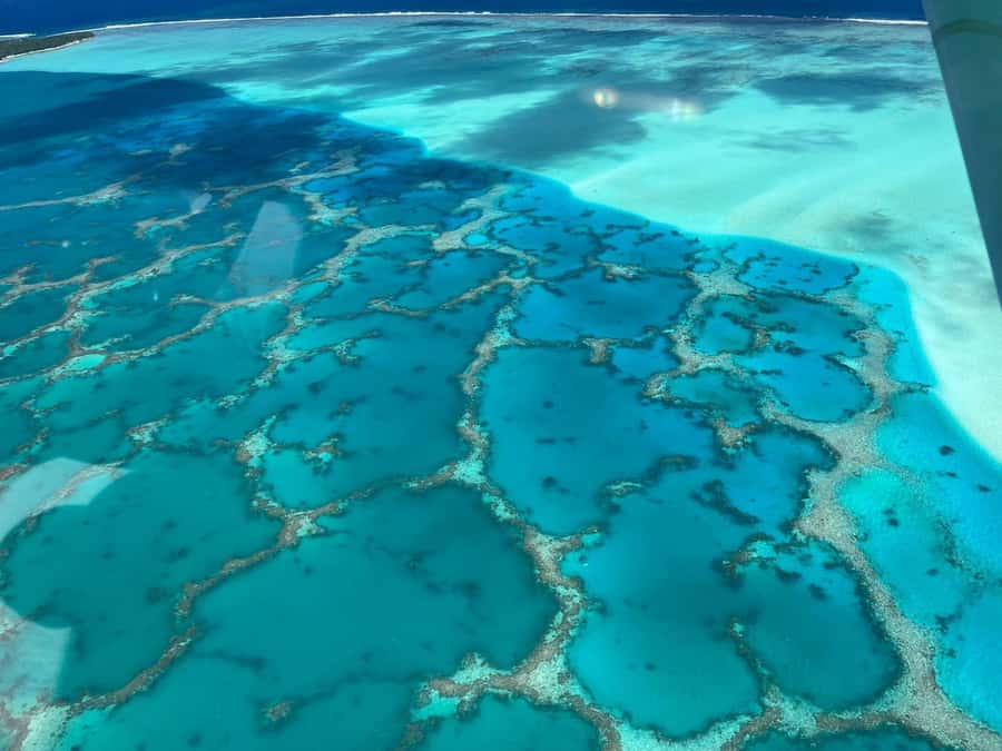 Raiatea: Bora Bora and Taha'a Private Scenic Flight one hour - Who will enjoy this most