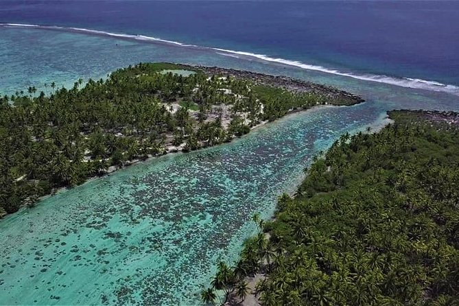 Raiatea-Tahaa Snorkeling in our beautiful Coral Garden - A Relaxing Break With Fruit and Drinks