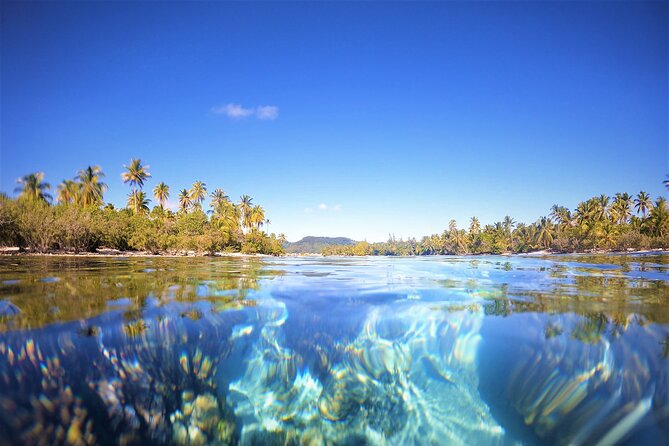 Raiatea-Tahaa Snorkeling in our beautiful Coral Garden - Guides Make a Big Difference