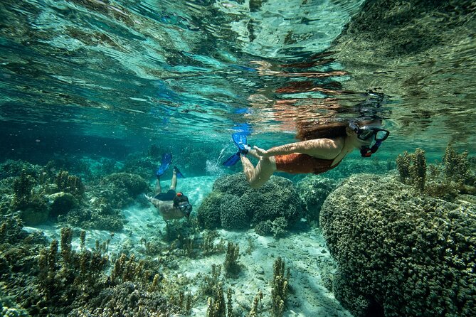 Reef Discovery Luxury Private Snorkeling Lagoon Tour - What each part of the outing offers