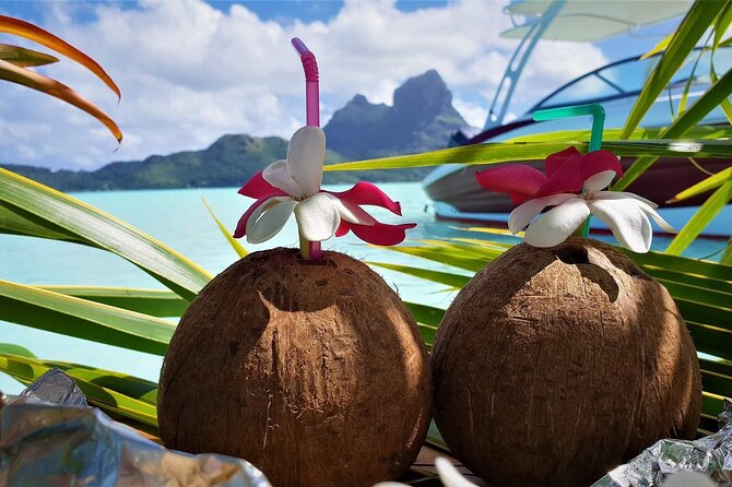 Reef Discovery Private Full Day Lagoon Tour & Water Lunch - Who will get the most from this private outing