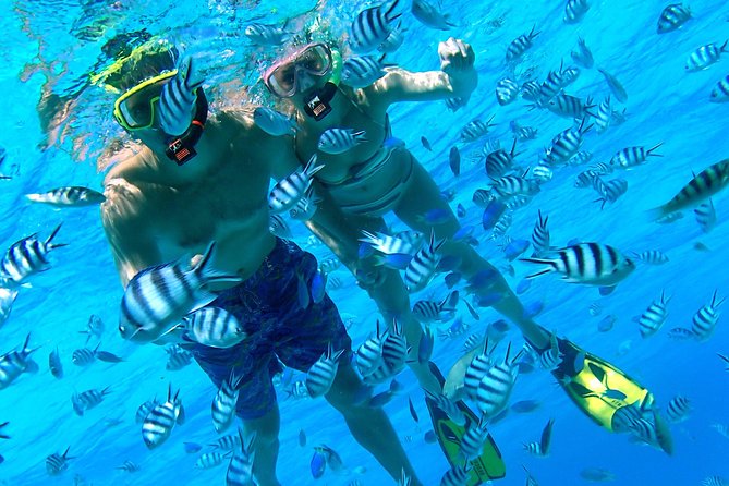 Reef Discovery Private Half Day Lagoon Tour - Stop one: manta rays in the lagoon