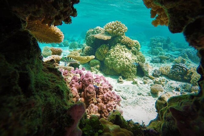 Reef Discovery Private Treasure Hunt - Why this treasure hunt works for families