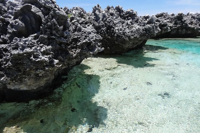 REEF ISLAND | private island | pink sand | natural swimming pools - Barbecue lunch and a Paumotu weaving demonstration
