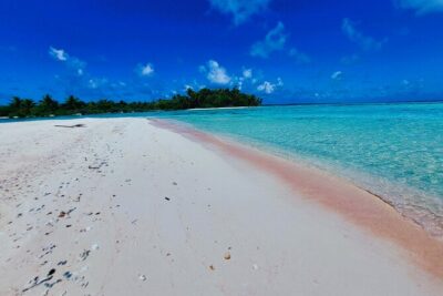 REEF ISLAND | private island | pink sand | natural swimming pools
