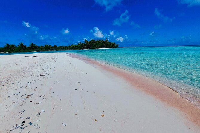 REEF ISLAND | private island | pink sand | natural swimming pools - Reef Island’s feo rock and coral garden