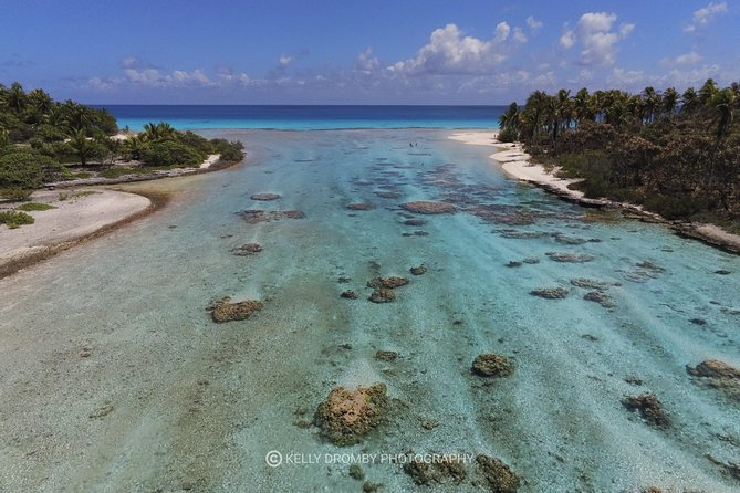 Reef island private tour - Key points at a glance
