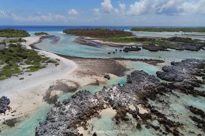 Reef island private tour - Snorkeling in the coral garden