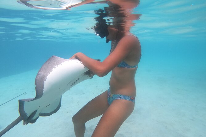 Respectful whale excursion to Tahiti in 4h30 - Who will enjoy this Tahiti whale trip?