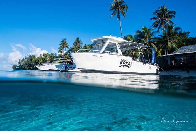 Romantic Dive for beginners in Bora Bora (2 people) with Video - Seeing Bora Bora’s tropical fish up close