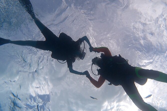 Romantic Dive for beginners in Bora Bora (2 people) with Video - What the $491.54 price really covers