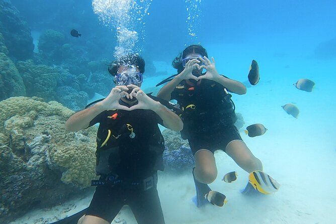 Romantic Dive for beginners in Bora Bora (2 people) with Video - Starting at Matira Beach with Eleuthera