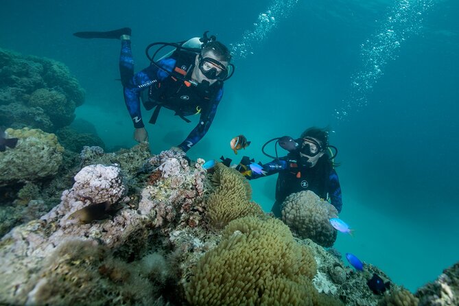 Romantic dive in the lagoon of Bora Bora. Private instructor on a shared boat - The 2:00 pm start and shared boat ride