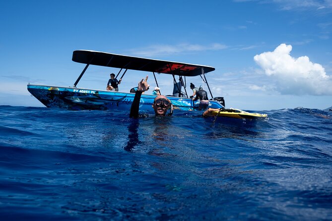 Sacred Experience Swimming with a Whale in Moorea - The briefing sets the tone