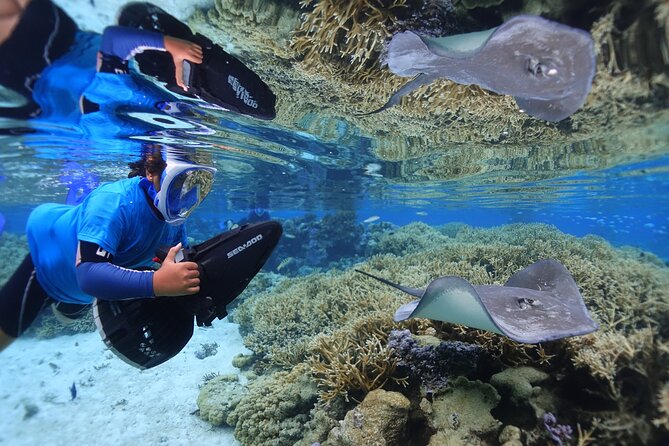 Sea Scooter Jet Snorkeling "Moorea Dream Adventure" - Stop one: Moorea’s coral gardens