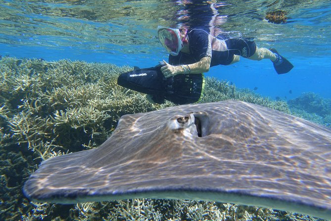 Sea Scooter Jet Snorkeling "Moorea Dream Adventure" - What you can and cannot photograph