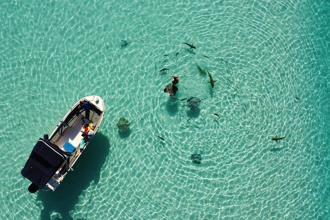 Sea Scooter Jet snorkeling "Moorea Reef Adventure" - Who Will Enjoy This Most