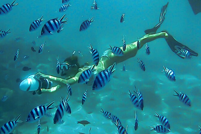 Sea Scooter Snorkel Tour - Lagoon Discovery : Wrecks, Coral Gardens and Tropical Fishies - What makes this Tahiti sea scooter tour special