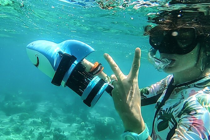 Sea Scooter Snorkel Tour - Lagoon Discovery : Wrecks, Coral Gardens and Tropical Fishies - The marine life you might encounter