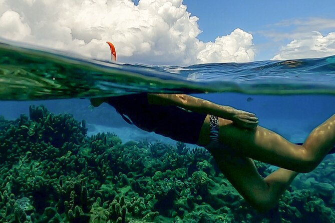Sea Scooter Snorkel Tour - Lagoon Discovery : Wrecks, Coral Gardens and Tropical Fishies - Why the small group changes the experience