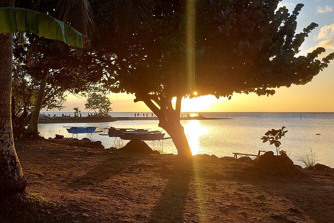 Shared 4.5h Circle Island Tour of Tahiti Nui by Lydia - Taharuu Beach and the island’s surf culture
