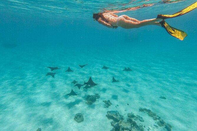 SHARED FULL DAY CULTURAL & LAGOON TOUR - Bora Bora Cultural Lagoon Tour - Starting at 9 a.m. in Bora Bora
