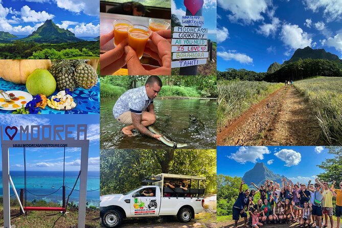 Shared Transfer: Hotel or Cruise Port to Tahiti Airport - Comfort, service, and small Polynesian touches