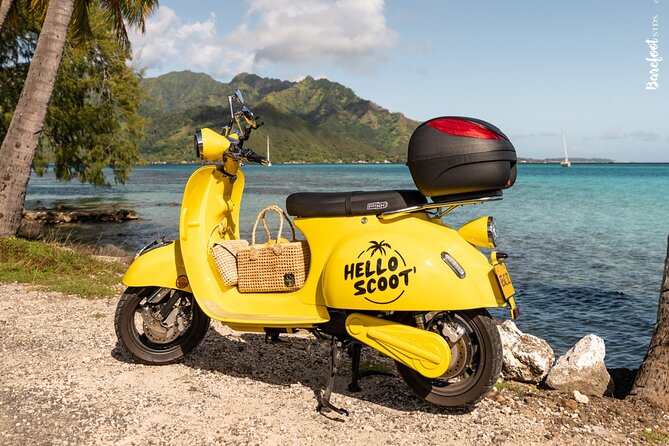 Shared Transfer : Moorea Airport (or) Pier to Hotel - Why this $19 transfer makes sense on Moorea