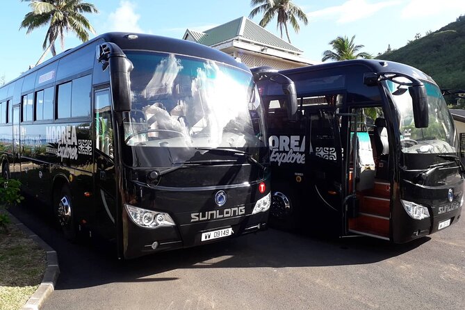 Shared Transfer : Moorea Airport (or) Pier to Hotel - Airport arrivals at Moorea MOZ