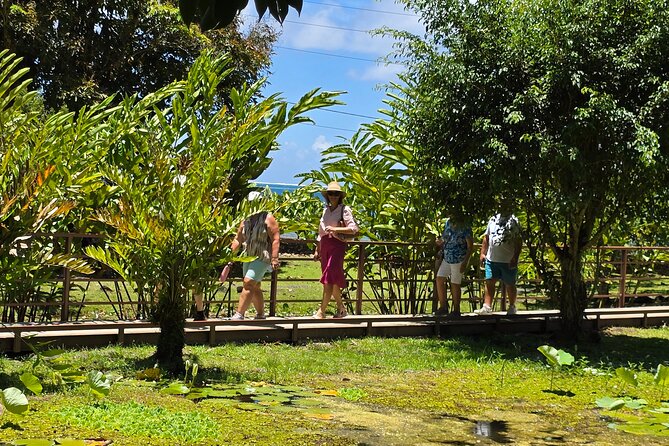Small Group Shared Tahiti Circle Island Waterfalls and Views - Point Venus connects black sand with world history